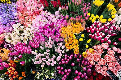 《异度神剑X 终极版》与原版对比视频 来找差别