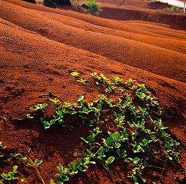 密室逃脱游戏《逃脱学院》将于6月28日发售